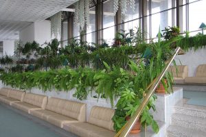 зимний сад5