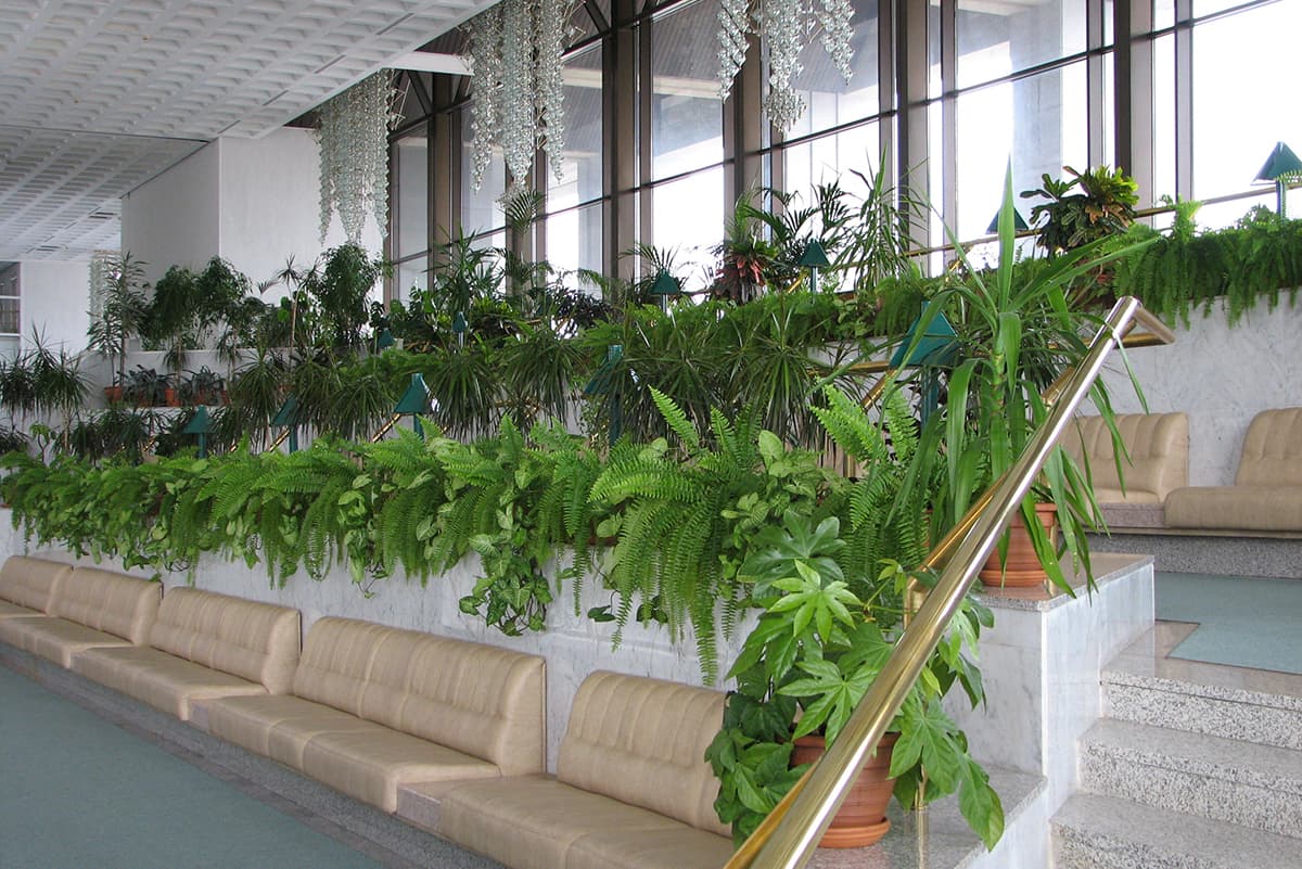 зимний сад5