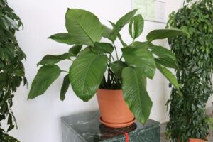 20230808105629_IMG_0046