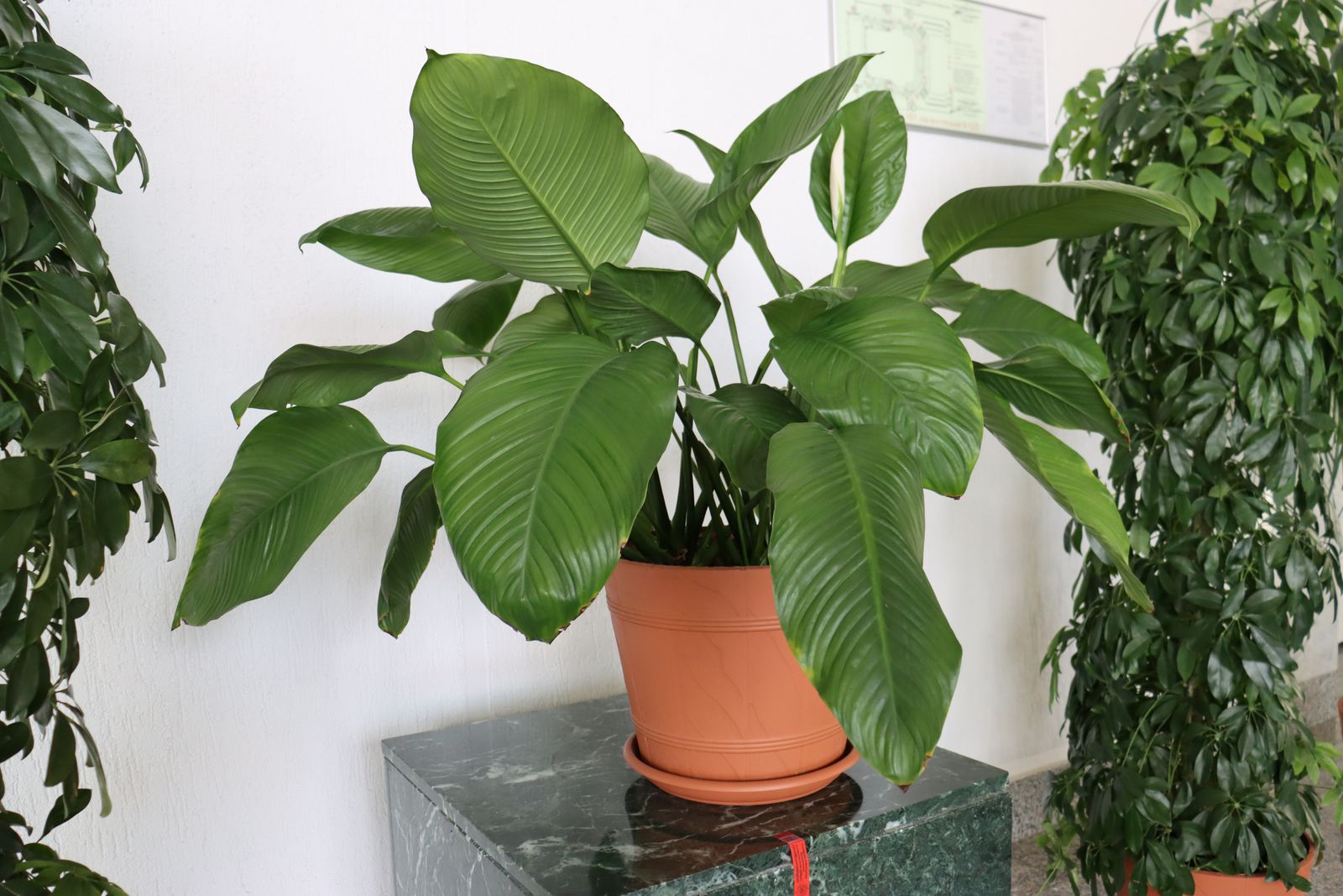 20230808105629_IMG_0046