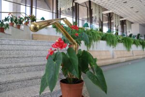 20230809101627_IMG_0122