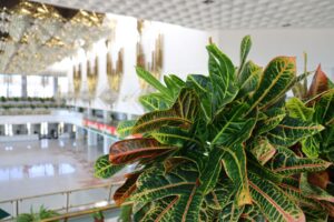 20230809102235_IMG_0134