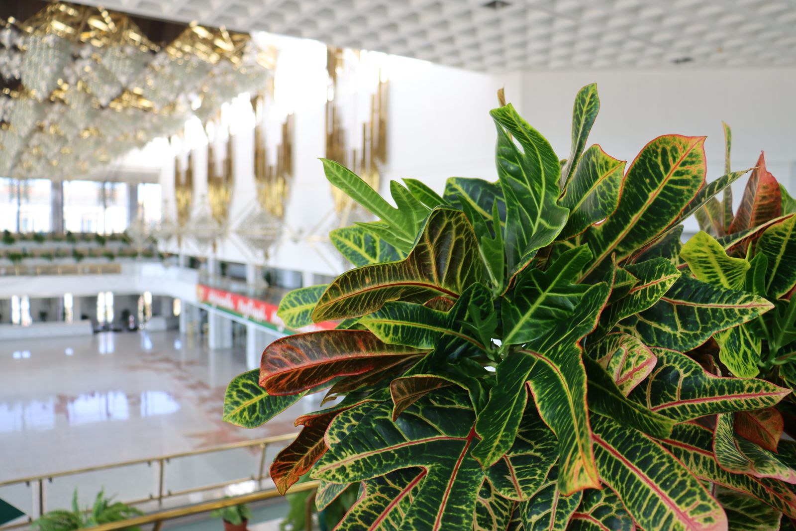 20230809102235_IMG_0134