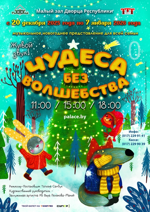 Новогоднее представление «Чудеса без волшебства»;?>